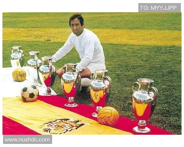 足球明星与娱乐明星的共同点探讨与影响力分析